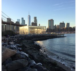Les activités au Brooklyn Bridge Park ?