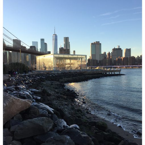 Les activités au Brooklyn Bridge Park ?