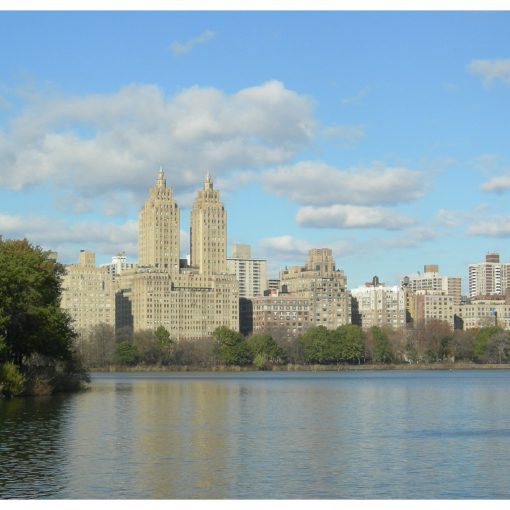 Activités à faire à Central Park