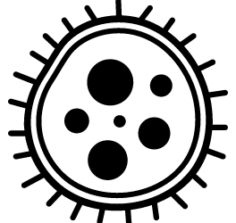 Voyage à New York et Covid-19