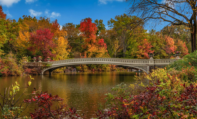 Vue pont de central park