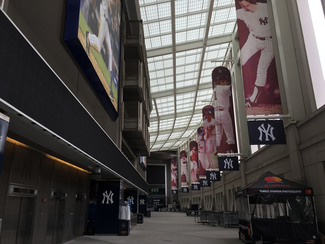 stade baseball bronx